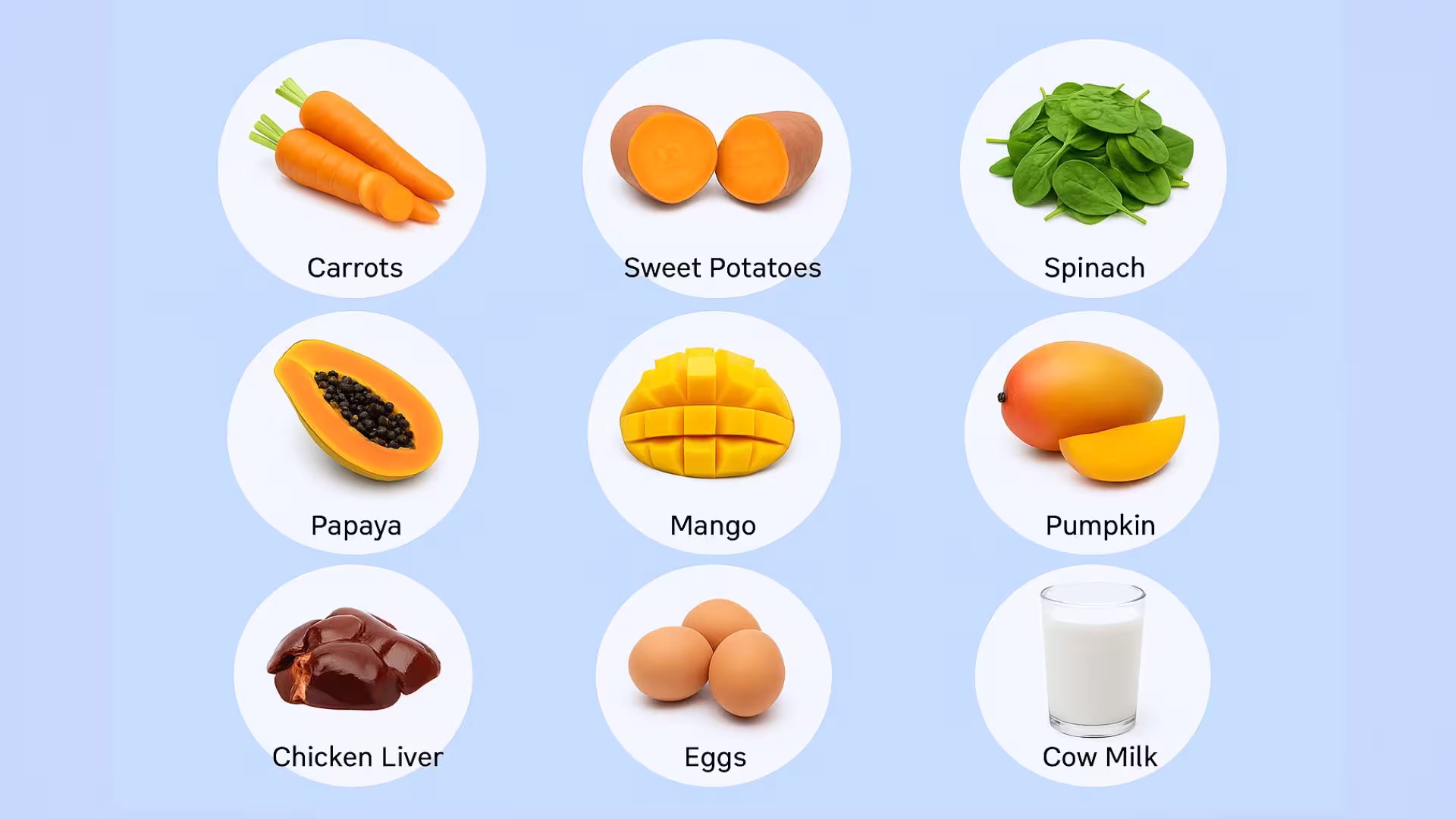 Collage of nine Vitamin A–rich foods common in Bangladesh, including carrots, sweet potatoes, spinach, papaya, mango, pumpkin, chicken liver, eggs, and cow milk, shown in uniform circular frames